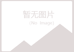 桂林紫山化学有限公司